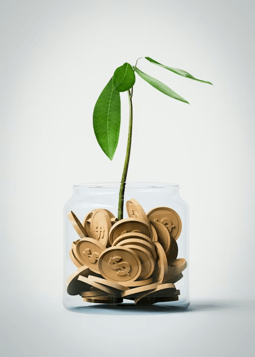 Finanças no Casamento
